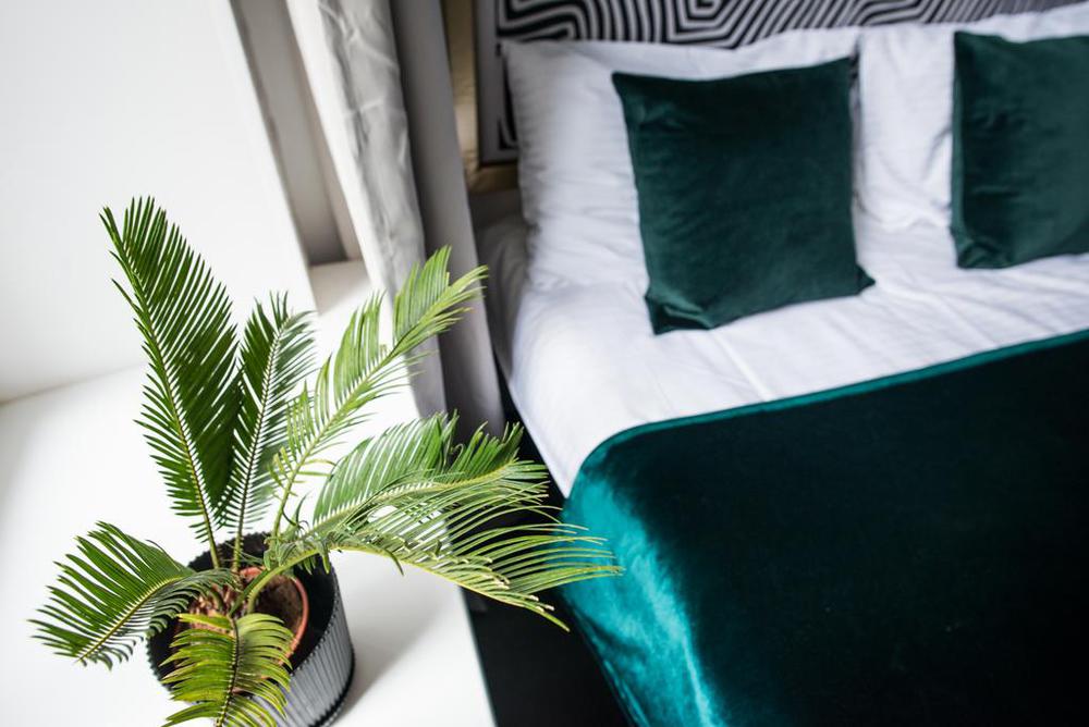 Smart Apart Africa в Санкт-Петербурге
